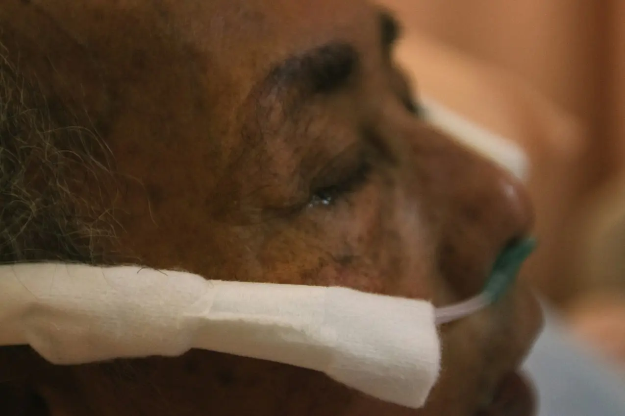 mandy-zhu-bPYa9VfY00E-unsplash-min